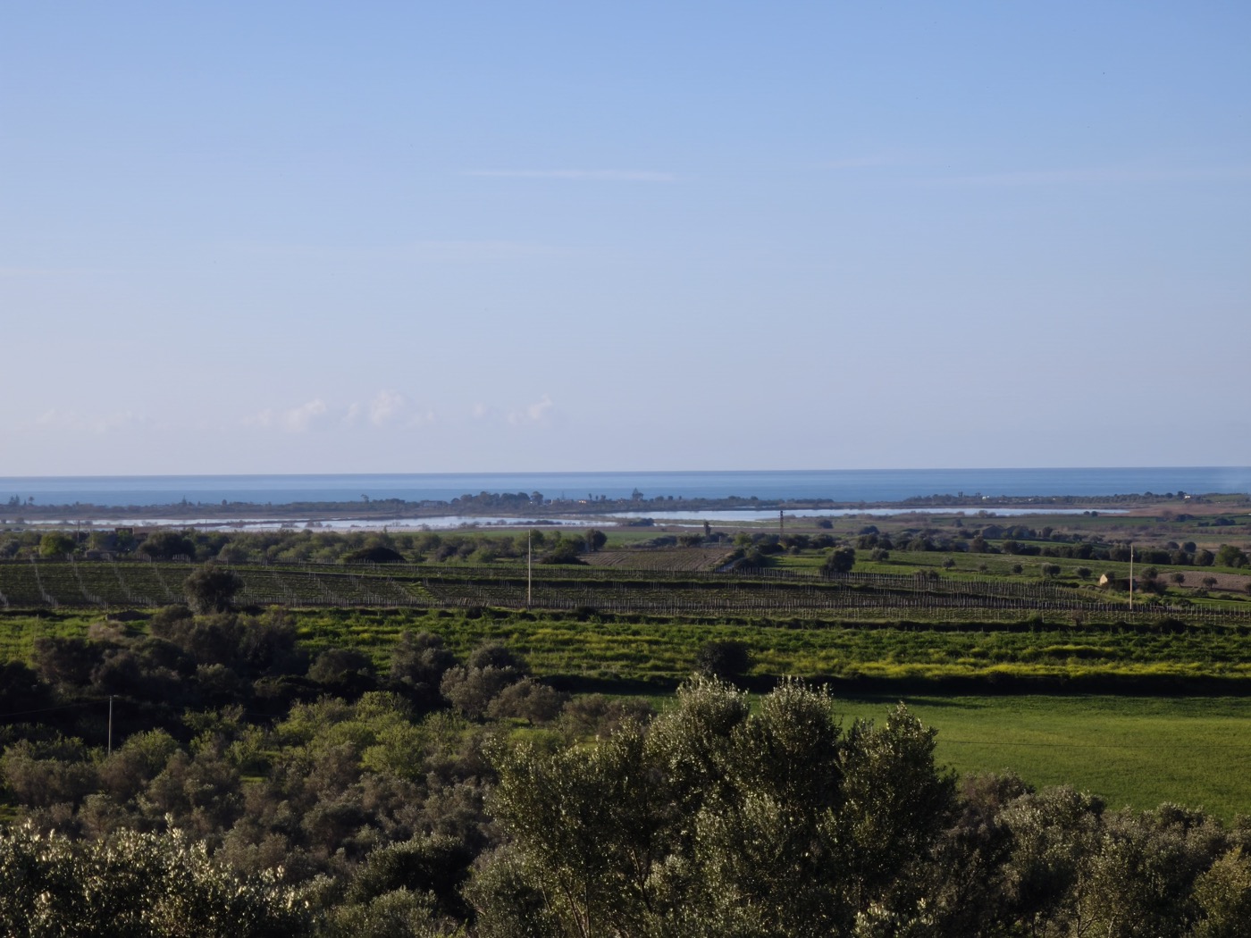 Panoramic view across olive groves and vineyards toward the sea near Noto