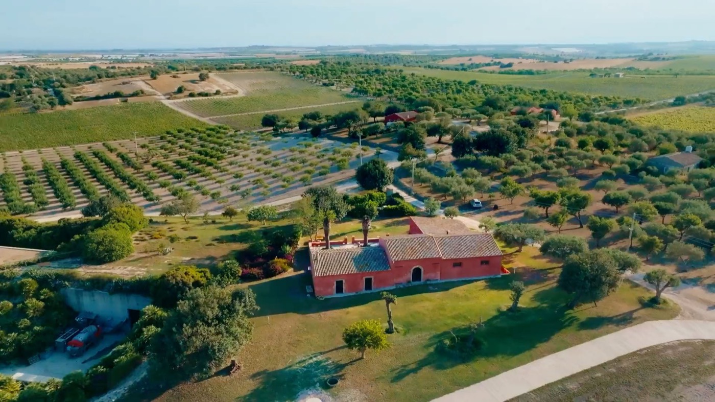 Aerial view of the Planeta Buonivini estate near Noto — terracotta farmhouse amid olive groves and vineyard rows