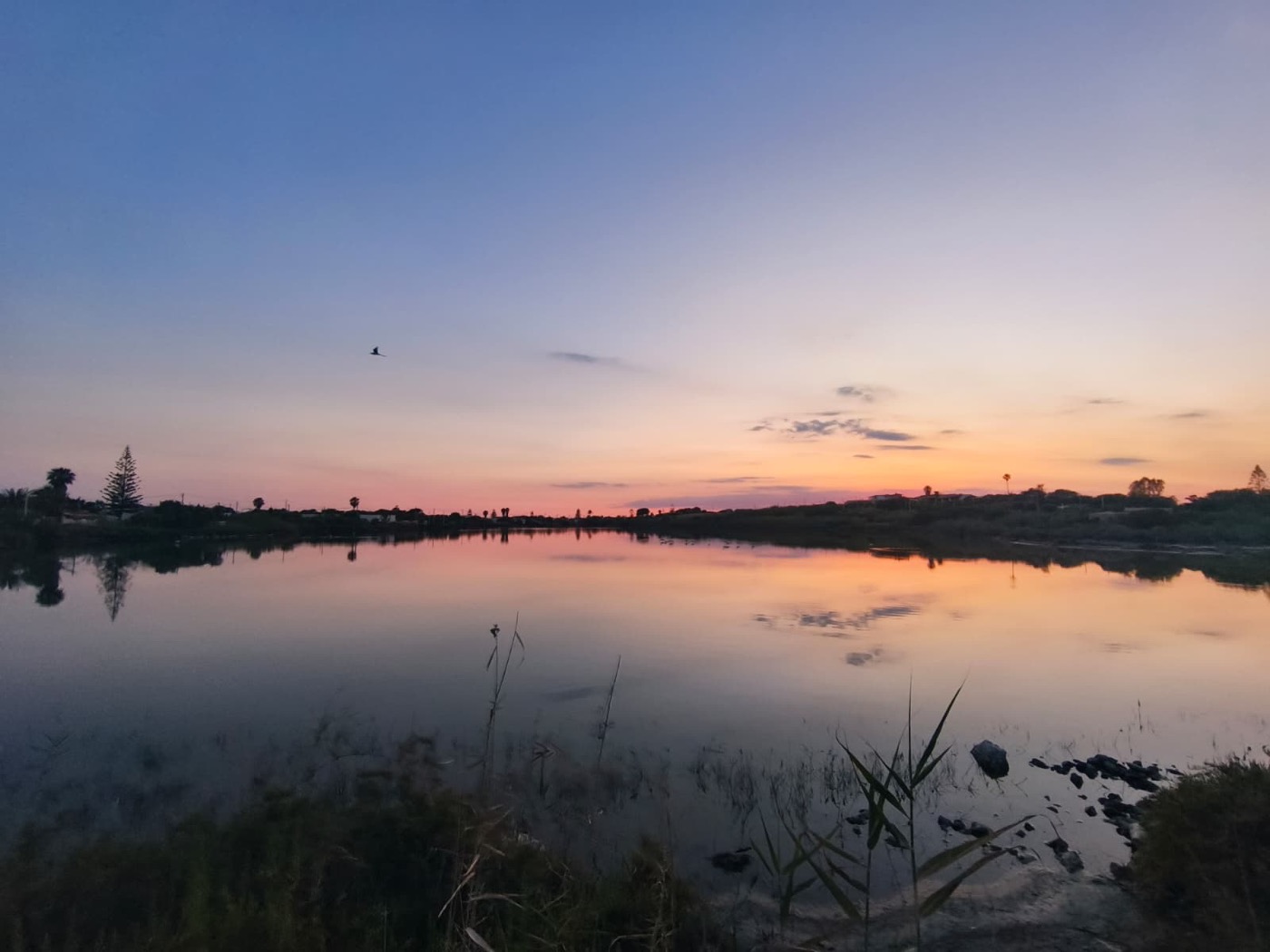 Sunset over the saline pools near Vendicari, a bird in flight above the still water