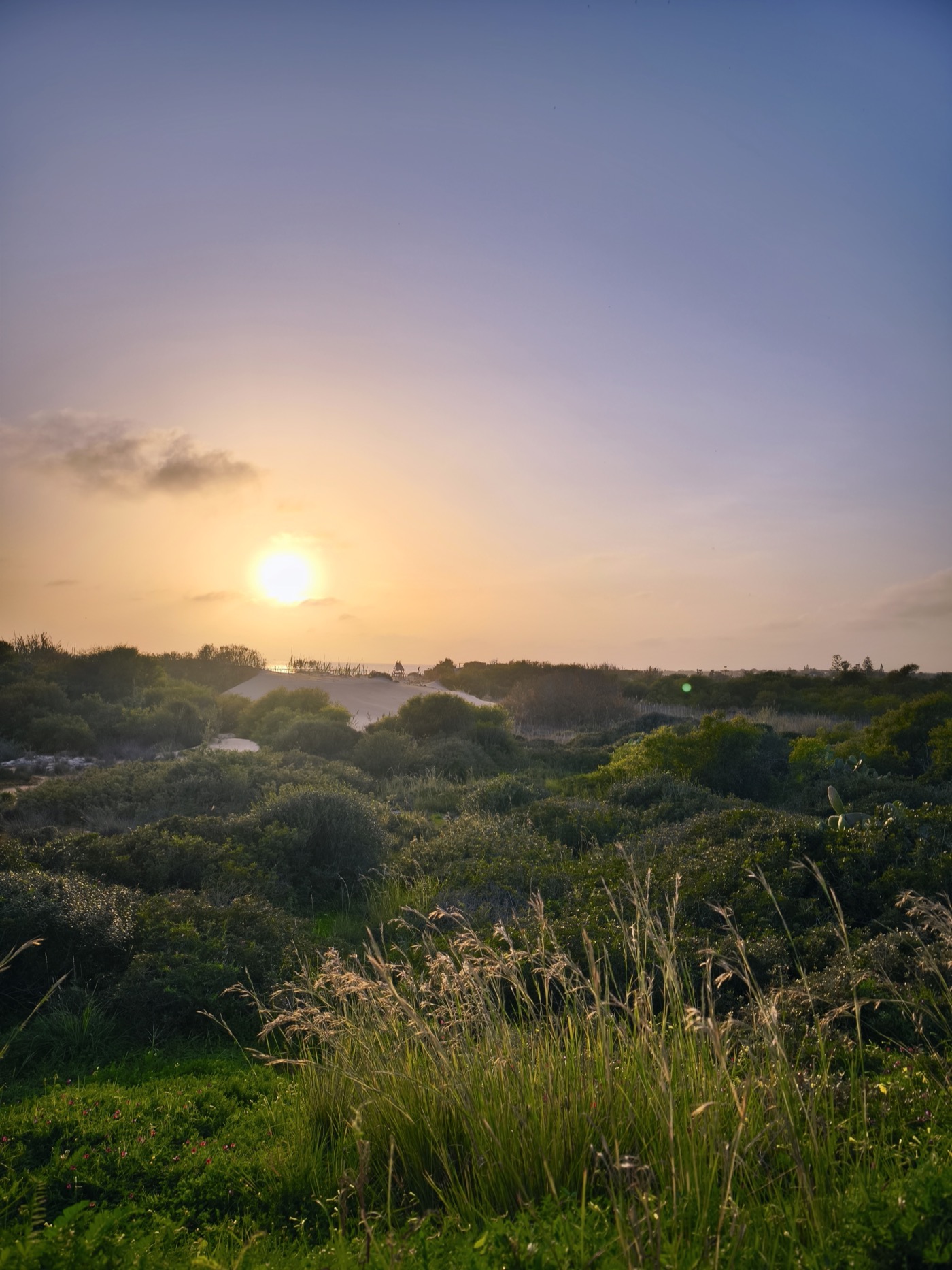 Sunset over Mediterranean scrub and dunes near the Vendicari nature reserve
